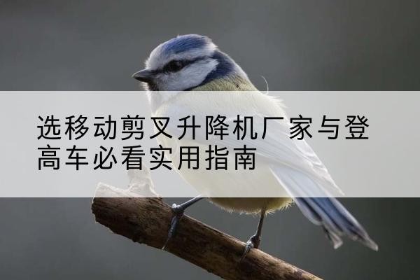 洛浦电动升降机厂家-选移动剪叉升降机厂家与登高车必看实用指南