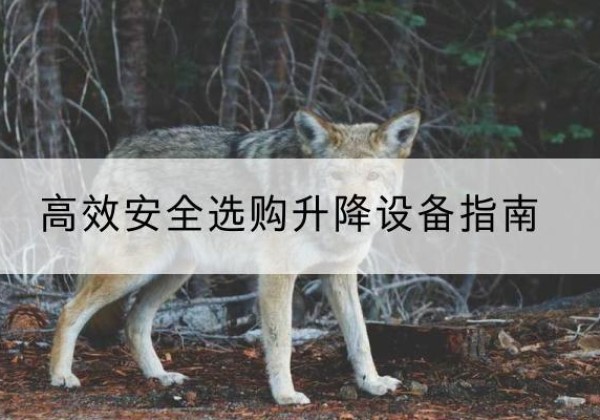 洛浦升降货梯厂家推荐-*安全选购升降设备指南