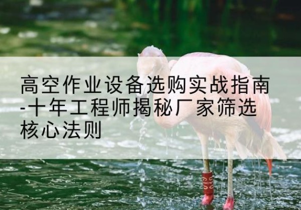 洛浦剪叉式升降机厂家-高空作业设备选购实战指南-十年工程师揭秘厂家筛选核心法则